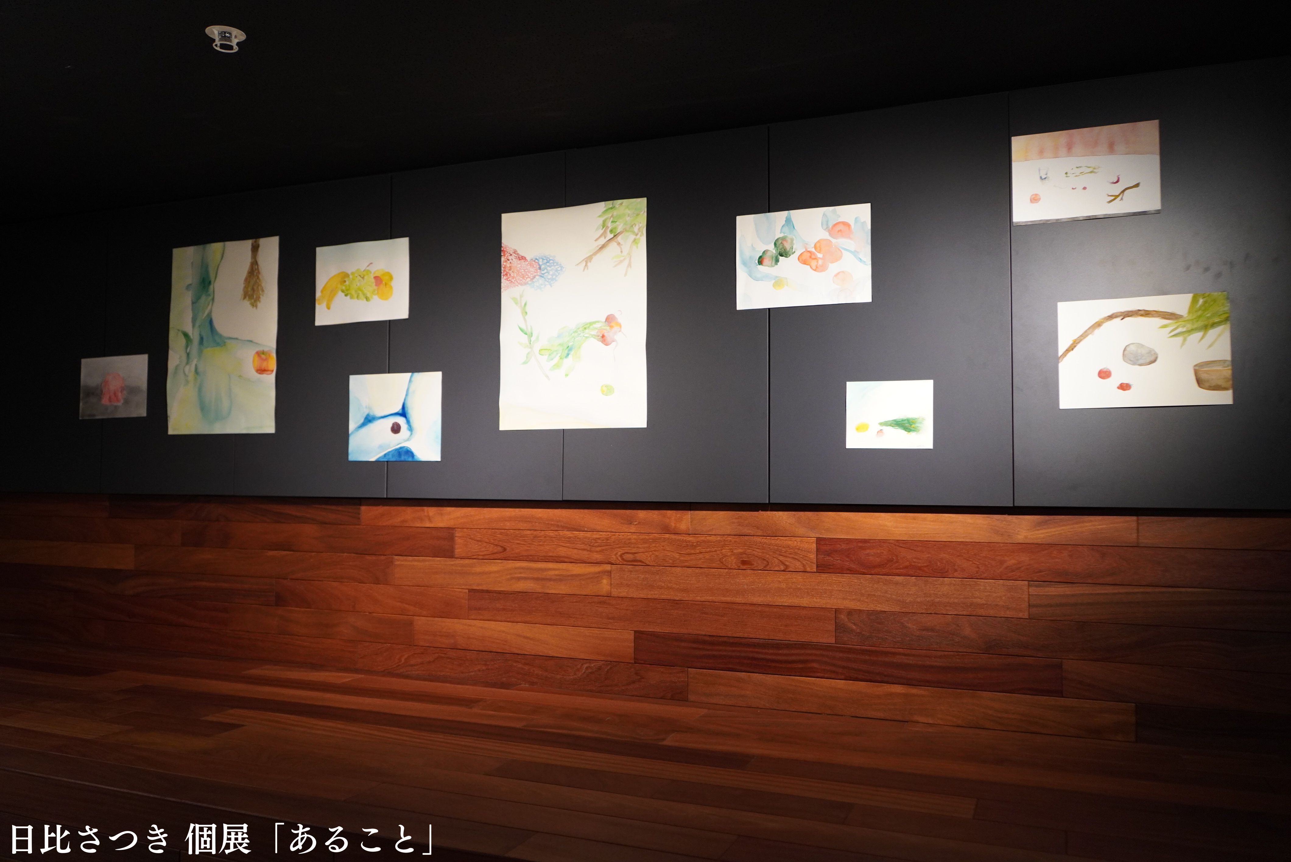 日比さつき 個展「あること」 (4)